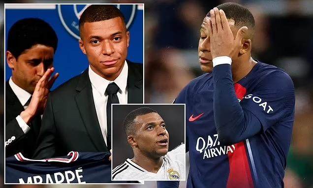 1726187997128001457.jpg 1726187773706.jpg